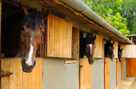 free Llansteffan stable construction quotes